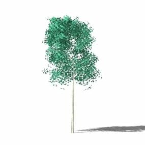 نموذج شجرة حديقة صغيرة 3D