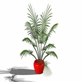 Indoor Potted Palm 3d model
