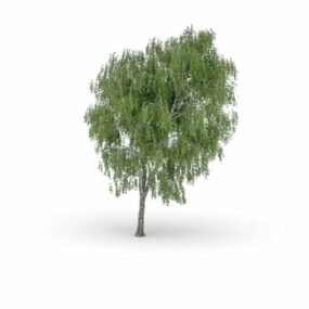 Nordamerikanisches Hartholzbaum-3D-Modell