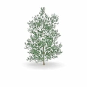 灰松树3d模型
