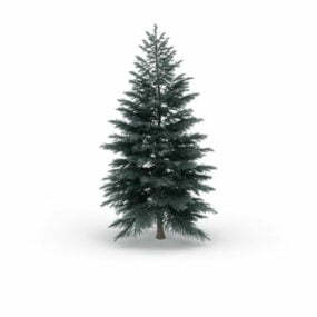 Blue Spruce Tree 3d model