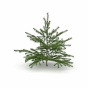 Model 3d Pohon Natal Cemara Kanaan