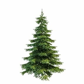 3д модель дерева Picea Glauca