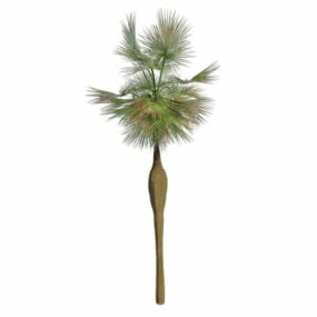 Kalifornská fanouškovská palma 3D model