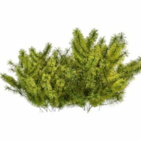Pequeños arbustos de coníferas modelo 3d.