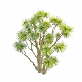Modelo 3d de árvore de repolho ornamental