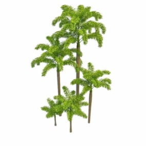 Foxtail Palm Trees 3d model