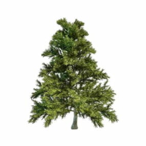 דגם 3D Dragon Spruce Tree