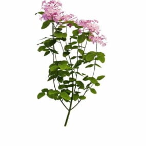 Planta com flores roxas para paisagismo modelo 3D