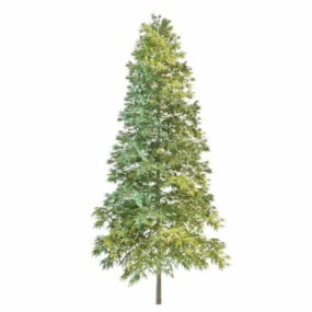 Model 3d Pohon Natal Cemara Norwegia