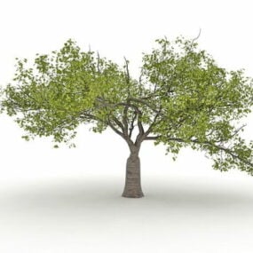 Viejo árbol Catalpa modelo 3d