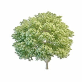 Modello 3d di albero topiario semplice