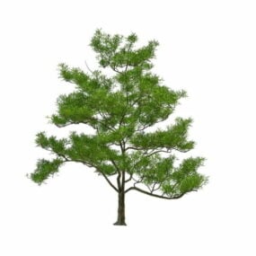 मध्यम आकार का आम का पेड़ 3डी मॉडल