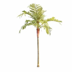 Modelo 3d de árbol ornamental tropical
