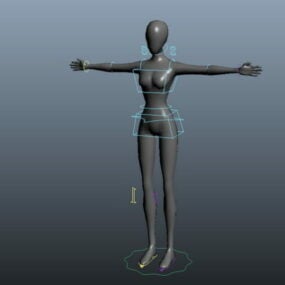 โมเดล 3 มิติของร่างกายผู้หญิง Rig