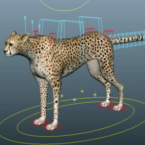 Cheetah Running Rig 3D-model
