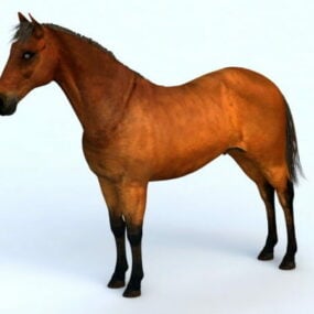 Modelo 3d de cavalo marrom