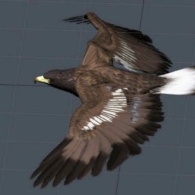 โมเดล 3 มิติ Eagle Animated Rig ที่สมจริง