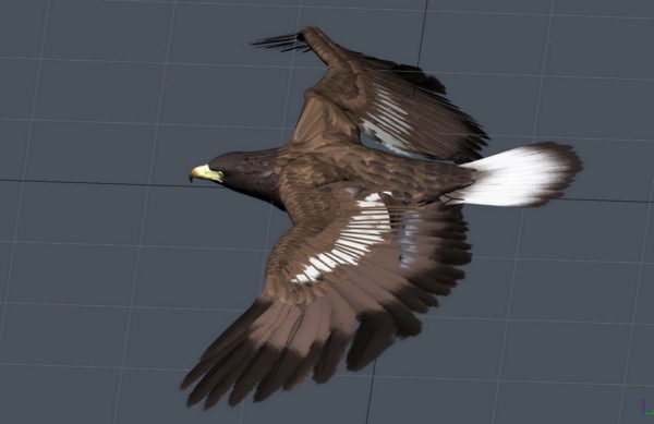 Realistic Eagle Animated Rig