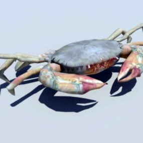 โมเดล 3 มิติของ Crab Animated Rig