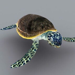 Мультяшна зелена морська черепаха 3d модель