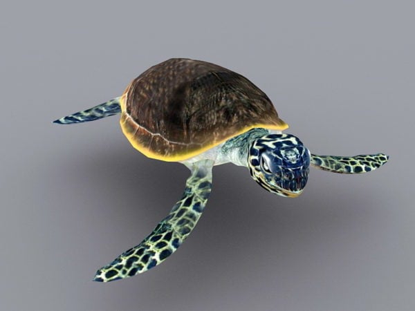 Przypon animowany żółwia morskiego