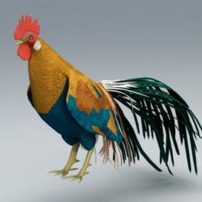 Beautiful Rooster 3d model