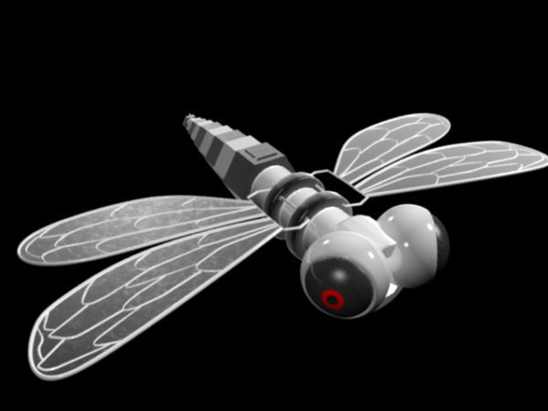 Robotic Dragonfly