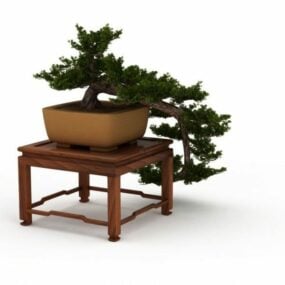 室内盆景树在桌子上3d模型