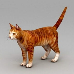 Model 3d Kucing Tabby Oranye