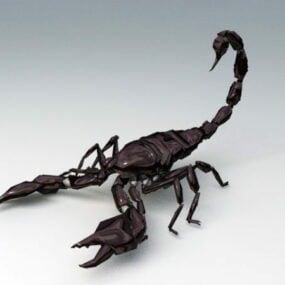 Emperor Scorpion Rig 3d model