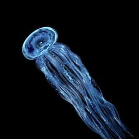 3д модель длинной медузы