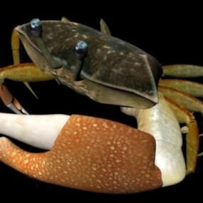 דגם 3D Fiddler Crab Rig