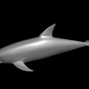 דגם תלת מימד בייבי דולפין
