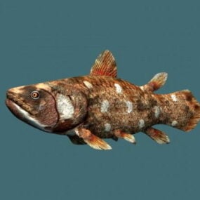 マタタビの魚3Dモデル