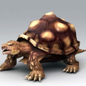 3d модель старої черепахи