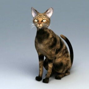 アメリカンショートヘア猫3Dモデル