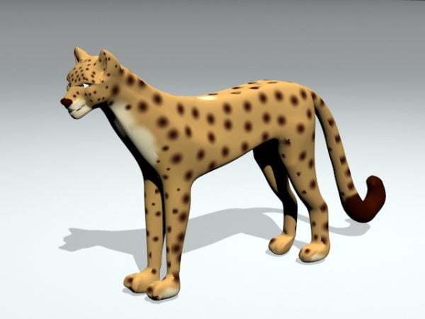 Krásný gepard