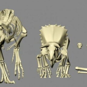 مدل سه بعدی استخوان دایناسور