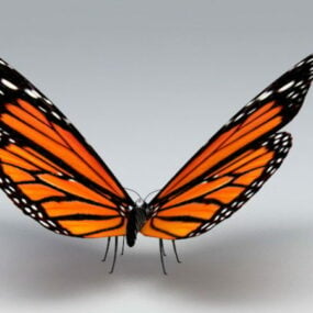 Modelo 3d de la mariposa monarca