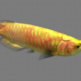 Arowana Fish Animated Rig 3d model