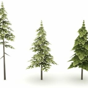 Model 3D Pohon Pinus