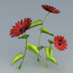 نموذج ثلاثي الأبعاد لنبات الزهرة الحمراء