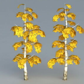 Birch Tree Fall Color 3d model