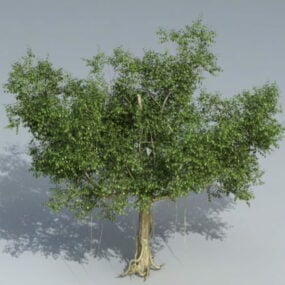 Banyan Ağacı 3d modeli
