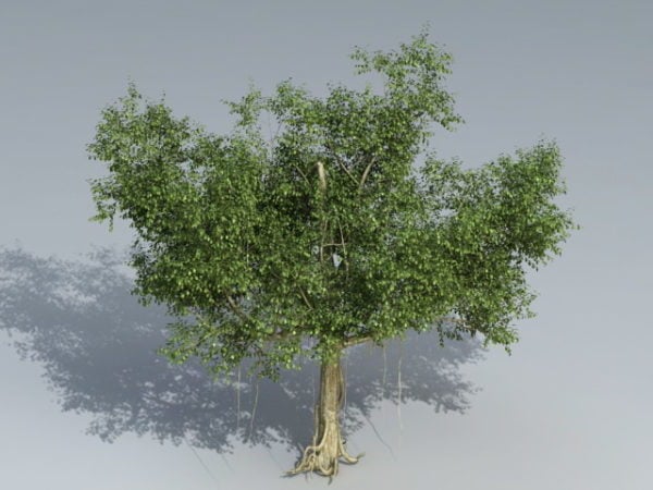 Banyan Tree Free 3d Model Max Open3dmodel 41919