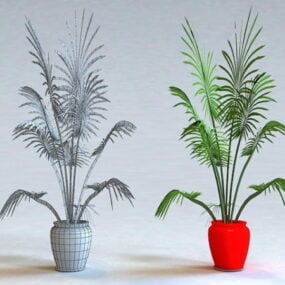 Saksı Palmiye Ağacı 3d modeli