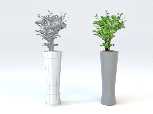 Tall White Vase Plant