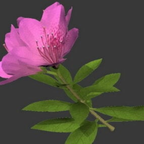 Modelo 3d de flor rosa