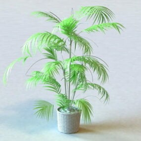 Model 3D Pohon Palem Pot